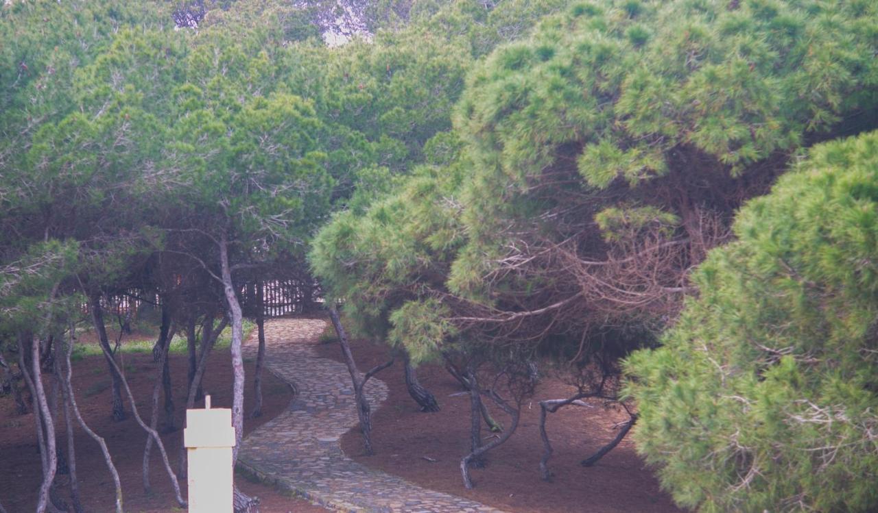 Hotel Parquemar Premium Beach グアルダマル・デル・セグラ エクステリア 写真